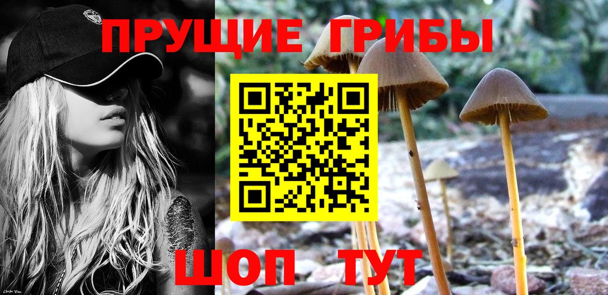Галлюциногенные грибы MAGIC MUSHROOMS  Вход с VPN  Краснознаменск 