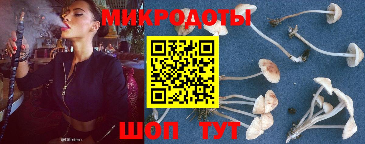 Псилоцибиновые грибы Magic Shrooms Краснознаменск