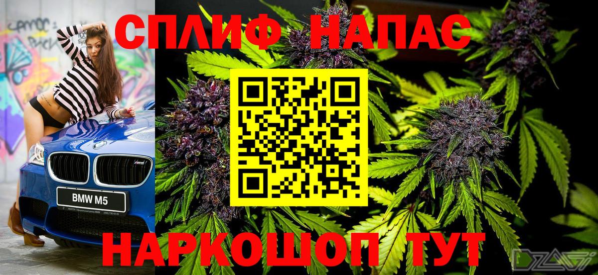 Бошки Шишки марихуана Краснознаменск